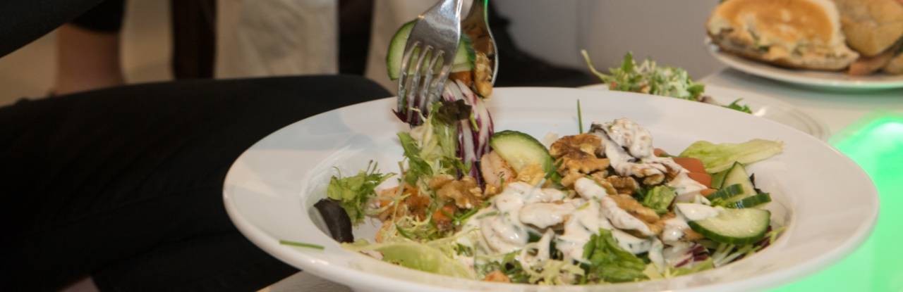 catering van Opella Services