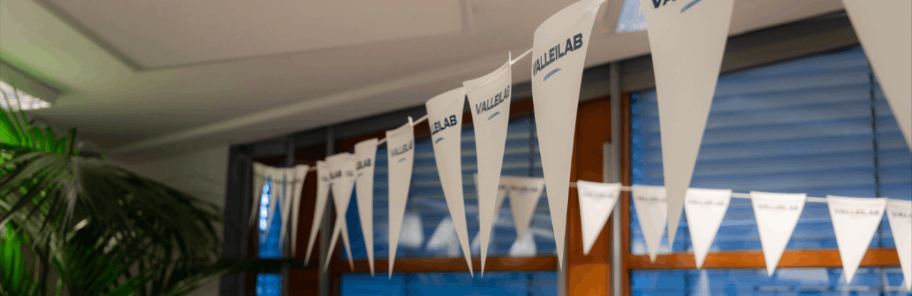 Valleilab